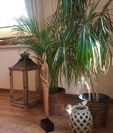 Ferienhaus Suedliche Boddenkueste Ferienhaus Bartelshagen (Vorpommern-Rugen)