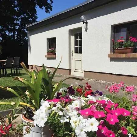 Ferienhaus Suedliche Boddenkueste Ferienhaus